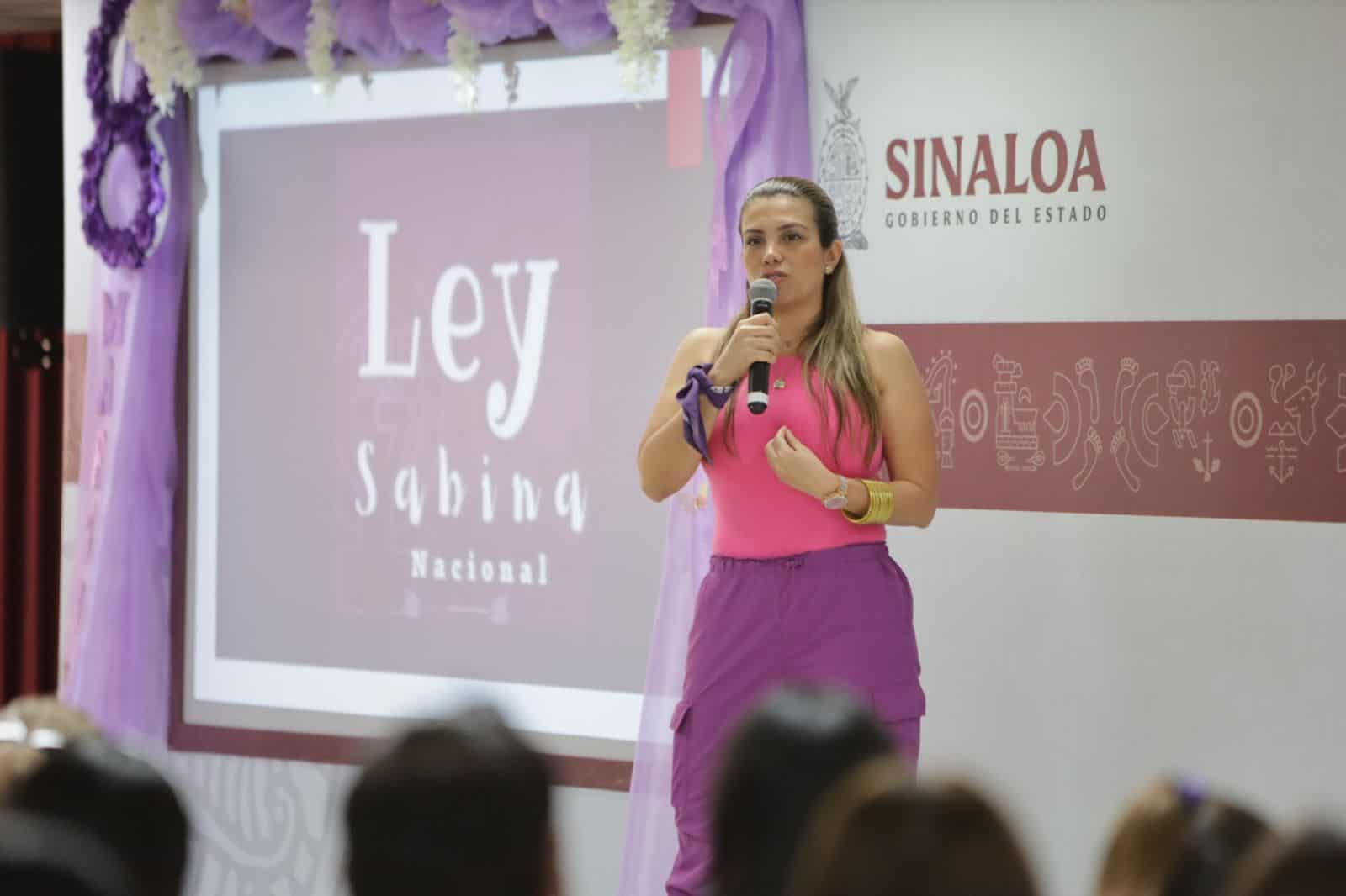 busca la sanción de padres que ejercen violencia y buscan hacer daño a las mujeres cuando sustraen a su hijos e hijas.