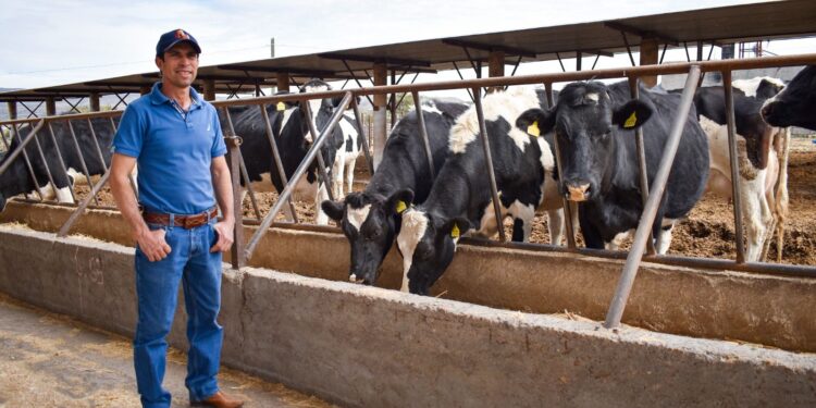 AGUASCALIENTES BUSCA SOLUCIONES PARA PRODUCTORES LECHEROS JUNTO CON LA FEDERACIÓN