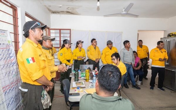 Continúa plan de acción para la sofocación del incendio en los Chimalapas