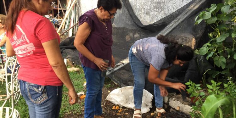 Huertos familiares en Acatlán, alternativa de las mujeres para una economía sustentable
