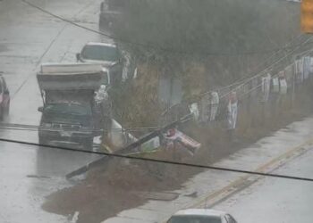 Lluvia en la capital oaxaqueña deja árboles caídos y cortes de energía eléctrica