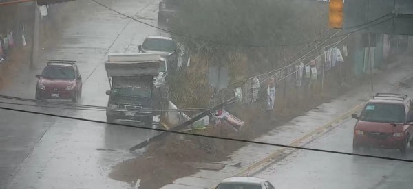 Lluvia en la capital oaxaqueña deja árboles caídos y cortes de energía eléctrica