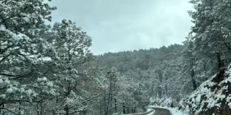 Reporta CEPC caída de nieve en 3 municipios ante el desplazamiento de la Novena Tormenta Invernal