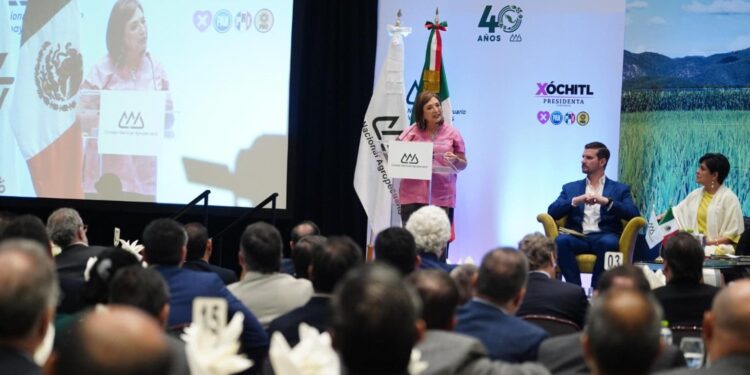 Atacará Xóchitl Gálvez extorsión contra agricultores