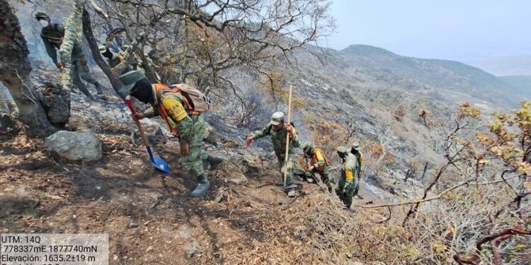Controlado al 100% incendio forestal en San Pablo Villa de Mitla y Villa Díaz Ordaz