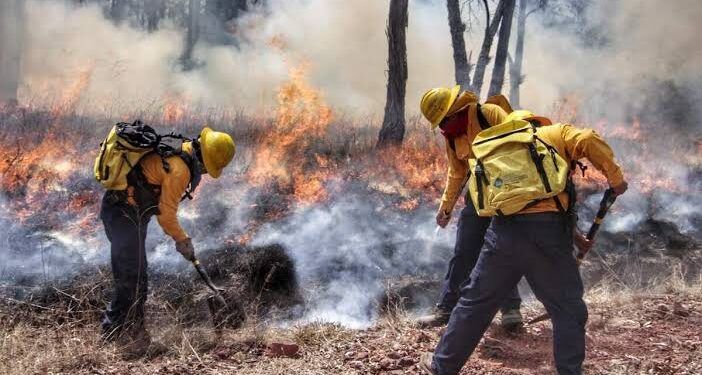 En Puebla, provocar incendios forestales no tiene impunidad; gobierno estatal exhorta a denunciar