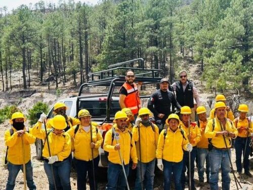 Impartirán curso para prevenir, detectar y combatir incendios en la Sierra Tarahumara