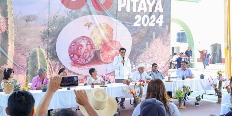 SANTO DOMINGO TIANGUISTENGO, MEDIO SIGLO CELEBRANDO LA FERIA DE LA PITAYA