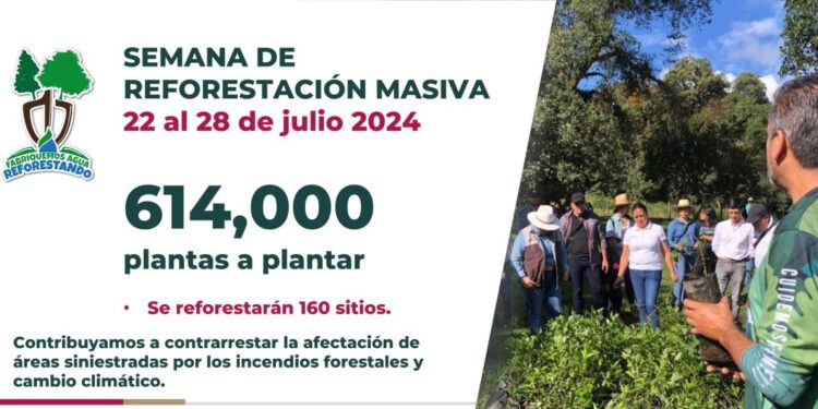 Apuesta Veracruz por la restauración forestal ante cambio climático