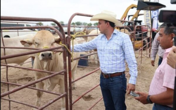 Todo el respaldo a los productores del campo coahuilense: Manolo