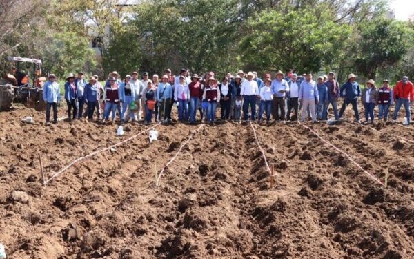 Promueve Sefader conservación de maíces nativos y mejor rendimiento de cosechas en Oaxaca