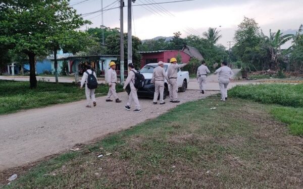 Combaten dengue con tamizaje de insecticidas