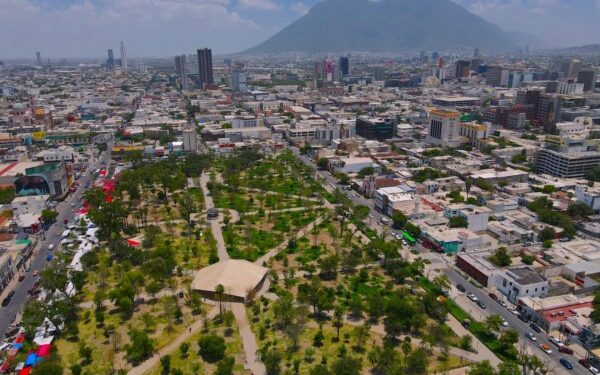 Tienen árboles del Bosque Ciudadano en la Alameda un 98% de supervivencia