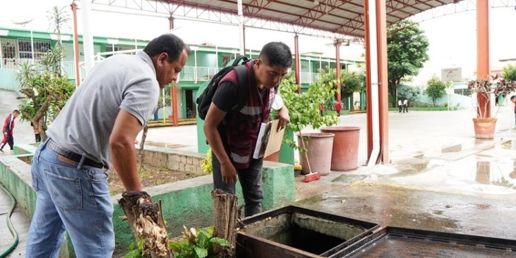 Ante el regreso a clases, indispensable reforzar medidas preventivas contra el dengue: SSO