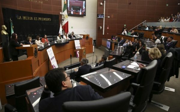 Coinciden en el Senado de la República, necesidad de regular la gestación subrogada