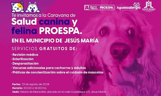 ESTE VIERNES, SERVICIOS VETERINARIOS, ESTERILIZACIONES Y VACUNAS GRATUITAS EN MARAVILLAS