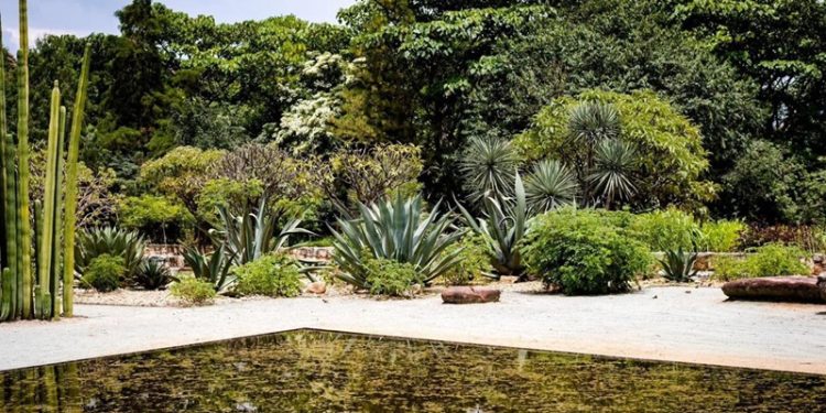 Realizará Seculta segunda edición de “Tardes de Jardín”, en el Etnobotánico