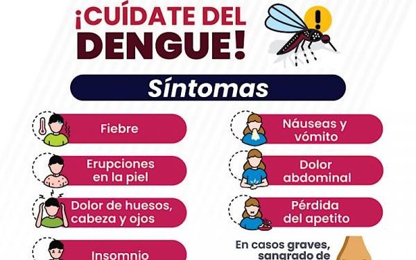 Acumula Puebla 2 mil 656 casos de dengue en 2024: Salud