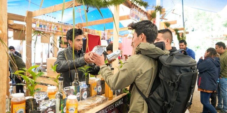 Festival Cultural del Hongo reactiva afluencia turística y economía de Oaxaca