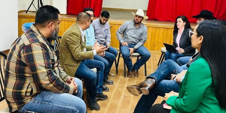 Busca CEDEX certificar estudios de 500 personas en Casas Grandes y NCG