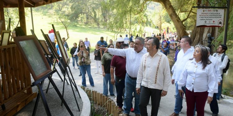Ciudad de los Ahuehuetes, nuevo espacio de conservación y patrimonio de las Altas Montañas