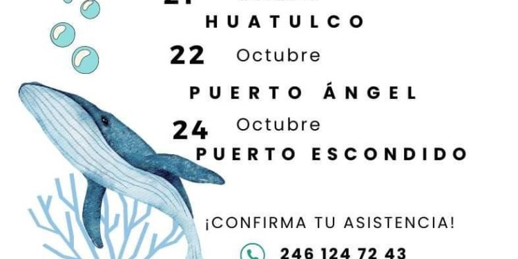 Impartirán taller sobre observación responsable de ballenas y mamíferos marinos en las costas de Oaxaca
