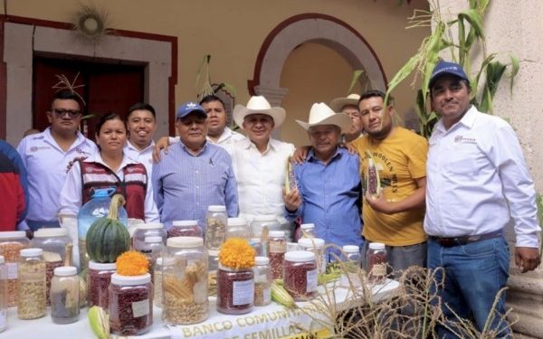Personas productoras impulsan autosuficiencia y conservación agrícola en Oaxaca