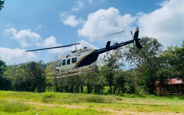 Combaten plagas forestales con aspersión de 193.89 hectáreas de Santa María el Rincón