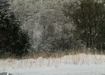 Registran temperaturas de hasta -7.3 °C en la región serrana por primera Tormenta Invernal de la temporada