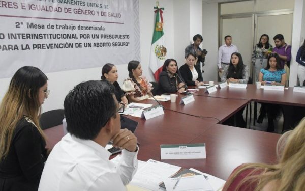 Poder Legislativo trabaja para garantizar un presupuesto digno para la interrupción legal y segura del embarazo