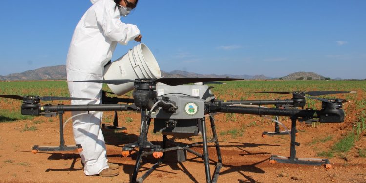 Beneficia a 126 mil productores agropecuarios aumento presupuestal para campañas sanitarias