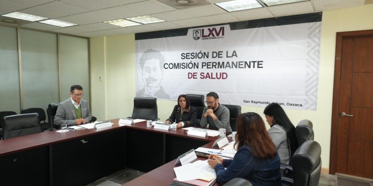 Comisión Permanente de Salud aprueba su Programa de Trabajo