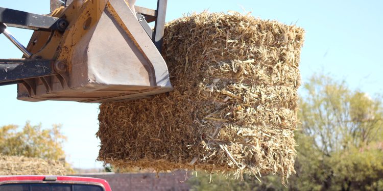 Beneficiará Gobierno del Estado con pacas de rastrojo a cerca de 8 mil productores