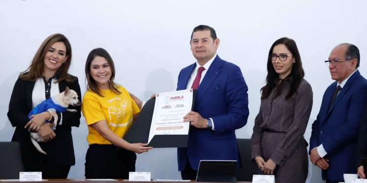 Gobierno y Fiscalía se coordinan para sancionar agresiones a seres sintientes