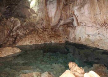 Yucatán en la ruta de un turismo sustentable con modelos colectivos exitosos