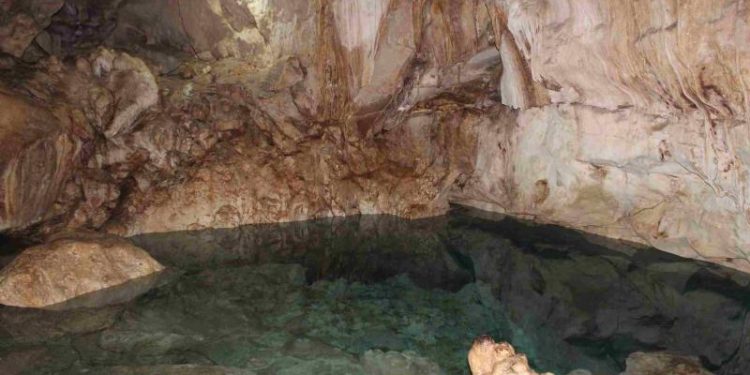 Yucatán en la ruta de un turismo sustentable con modelos colectivos exitosos