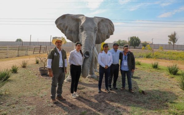Proyectan reapertura del zoológico Wamerú para el 21 de marzo