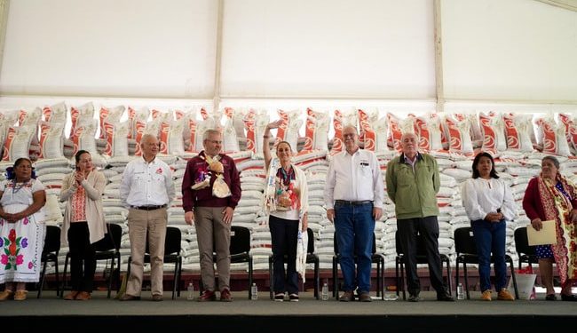 En Michoacán, Presidenta Claudia Sheinbaum encabeza entrega del Programa de Fertilizantes para el Bienestar, derecho de las y los campesinos