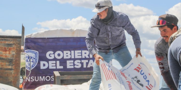 Impulsa Estado el desarrollo rural con estrategias de infraestructura, insumos y conservación de recursos naturales