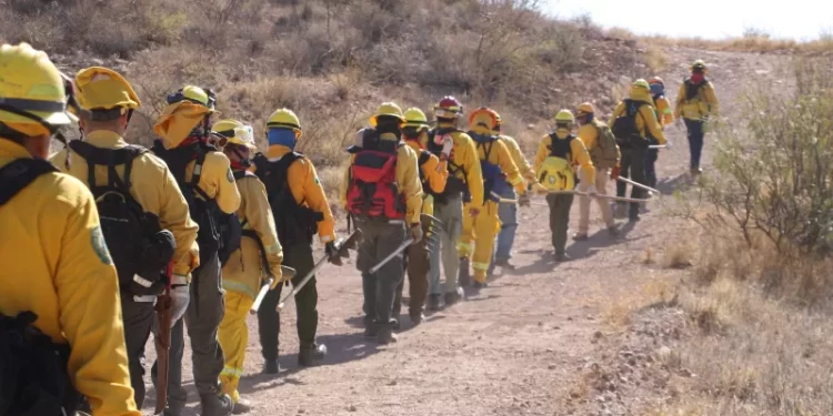 Inicia capacitación del Programa Manejo del Fuego 2025 dirigida a brigadistas y voluntarios