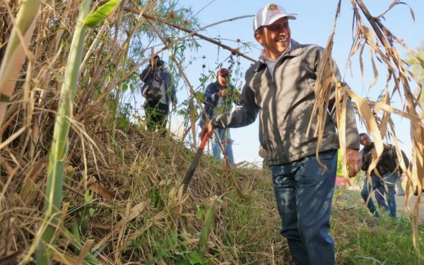Continúa Salomón Jara saneamiento del río Atoyac con Mega Tequio en Santiago Suchilquitongo
