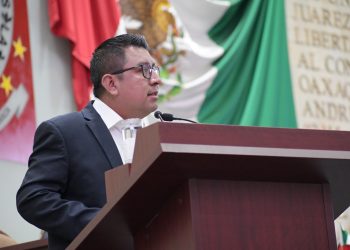 El Consejo Ciudadano de la DDHPO debe ser conformado por personas con un perfil íntegro y libre de antecedentes de incumplimiento de obligaciones familiares