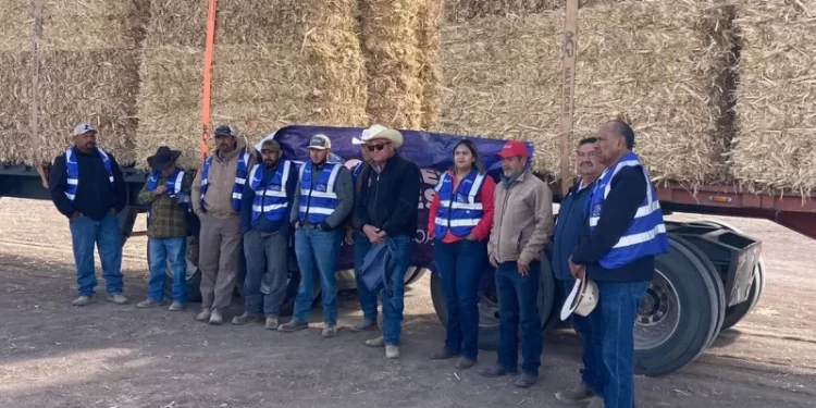 Entregan más de 232 toneladas de insumos a productores agropecuarios de Praxedis G. Guerrero