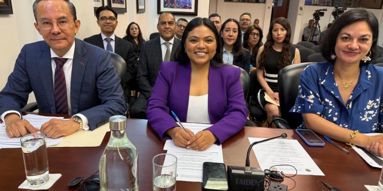 Fiscalía de Derechos Humanos participa en mesas de trabajo encabezadas por la CIDH