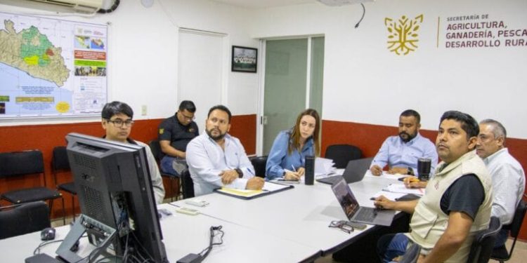 Guerrero, Michoacán y Estado de México evalúan la Campaña contra la Tuberculosis y Brucelosis implementada en la región de Tierra Caliente