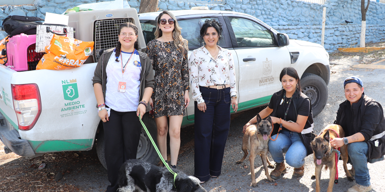 Llama Estado a universitarios a reforzar la lucha contra el maltrato animal