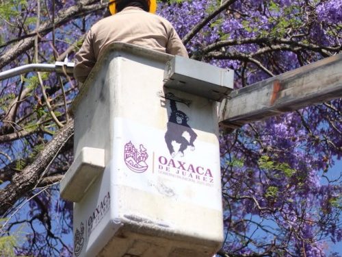 El Municipio de Oaxaca de Juárez impulsa acciones de embellecimiento, limpieza e iluminación en diversas zonas de la ciudad