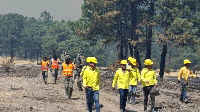 Trabajan más de 340 combatientes para sofocar incendios forestales en el estado