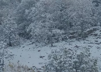 Mantiene Protección Civil pronóstico de lluvias y nevadas para el fin de semana