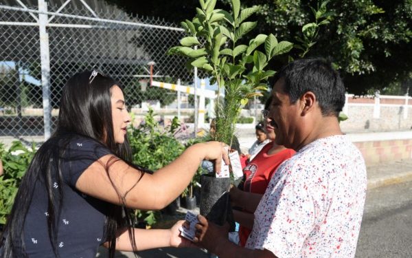 Con ecoparques, Puebla protege sus montañas y frena destrucción ambiental